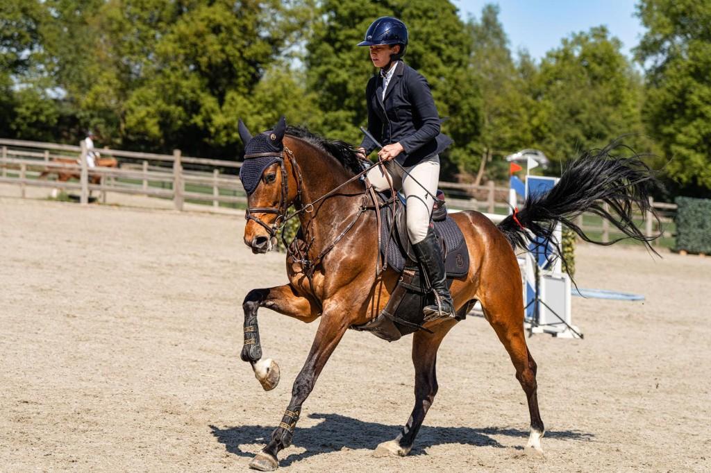 Goed huisje gezocht voor sportieve 7 jarige ruin, Ruin, 7 tot 10 jaar, 160 tot 165 cm, Recreatiepaard