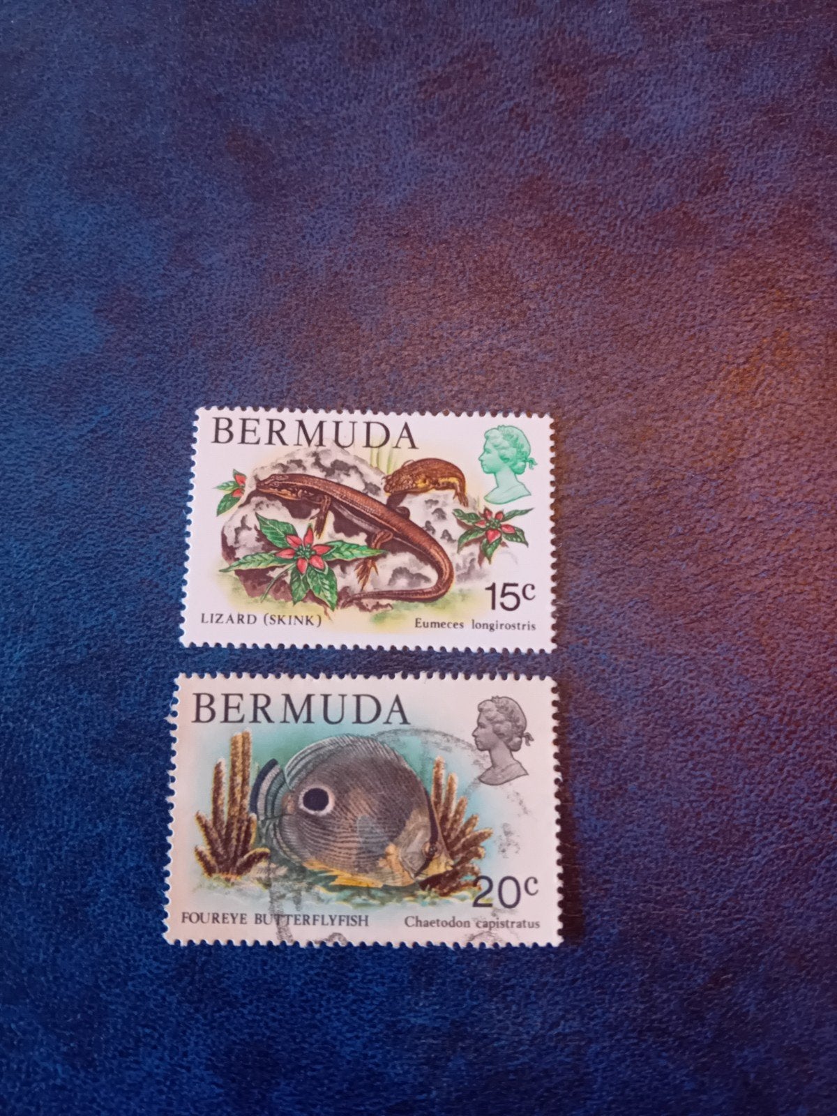 Bermuda Postzegels: Hagedis en Vlindervis (15c, 20c), Ophalen of Verzenden, Gestempeld