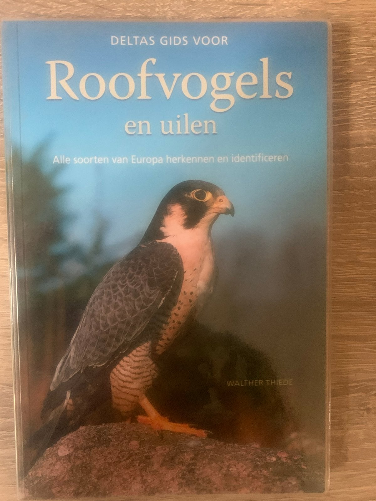 Deltas Gids voor Roofvogels en Uilen - Walther Thiede, Boeken, Natuur, Ophalen of Verzenden, Zo goed als nieuw, Vogels