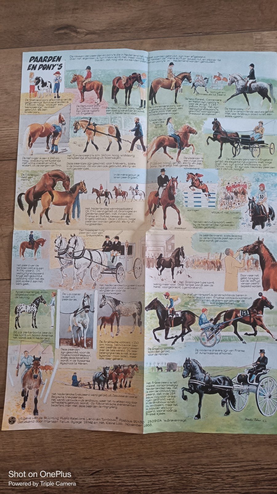 Prent Paarden en Pony's, Gebruikt, 1980 tot heden, Ophalen of Verzenden, Prent