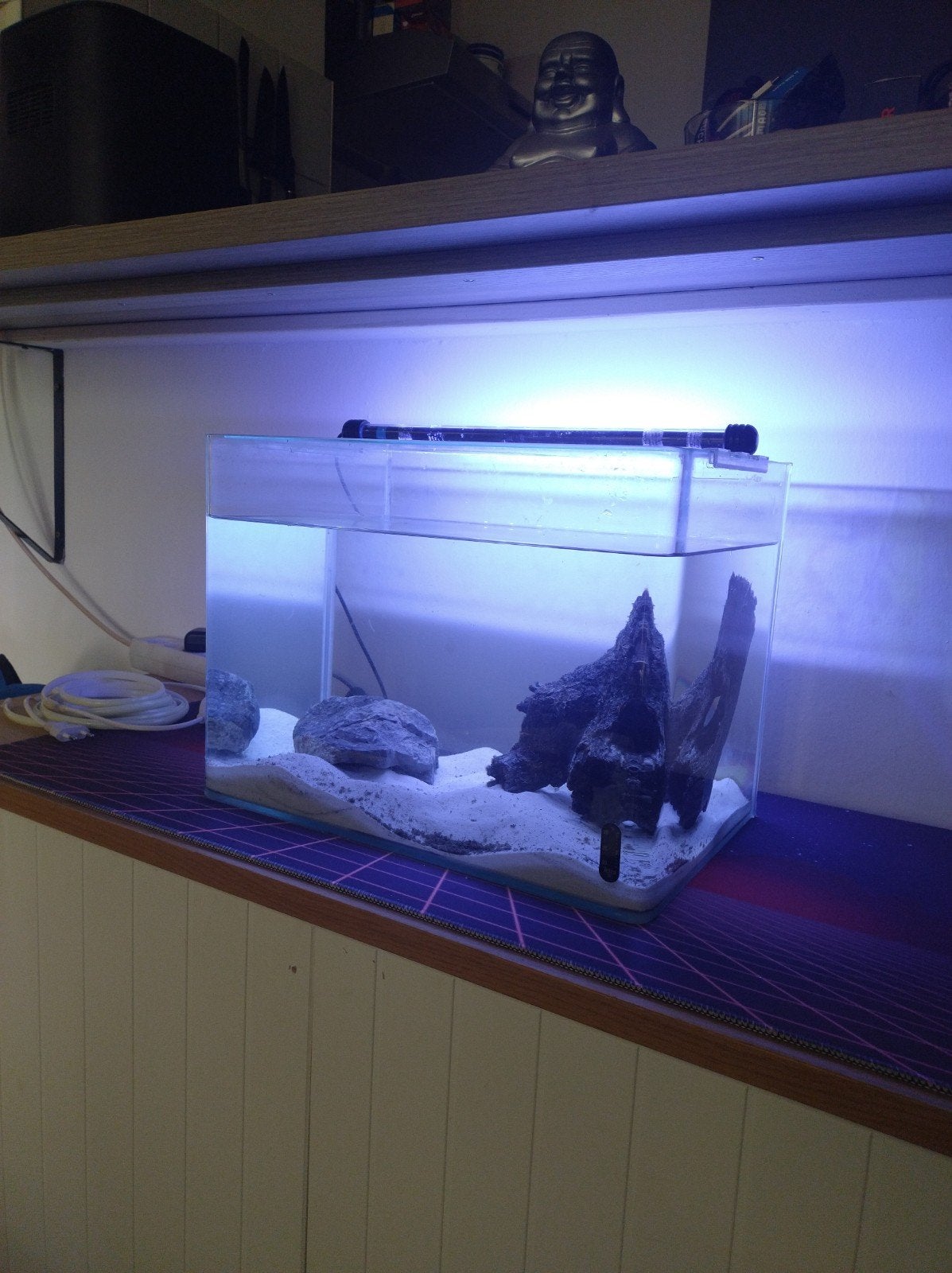 aquarium inclusief bodem zand en accessories zoals op foto's, Ophalen, Zo goed als nieuw, Leeg aquarium