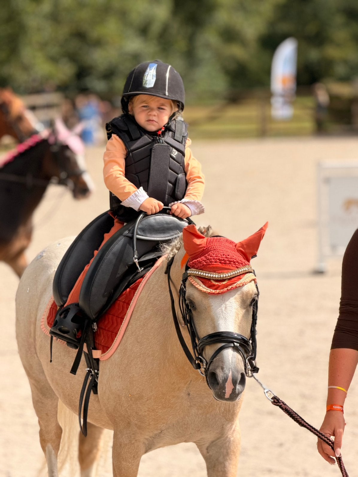 🦄✨ LIEVE A-, B- & C-PONY’S TE KOOP ✨🦄, Dieren en Toebehoren, Ruin, B pony (1.17m tot 1.27m), Met stamboom, 3 tot 6 jaar