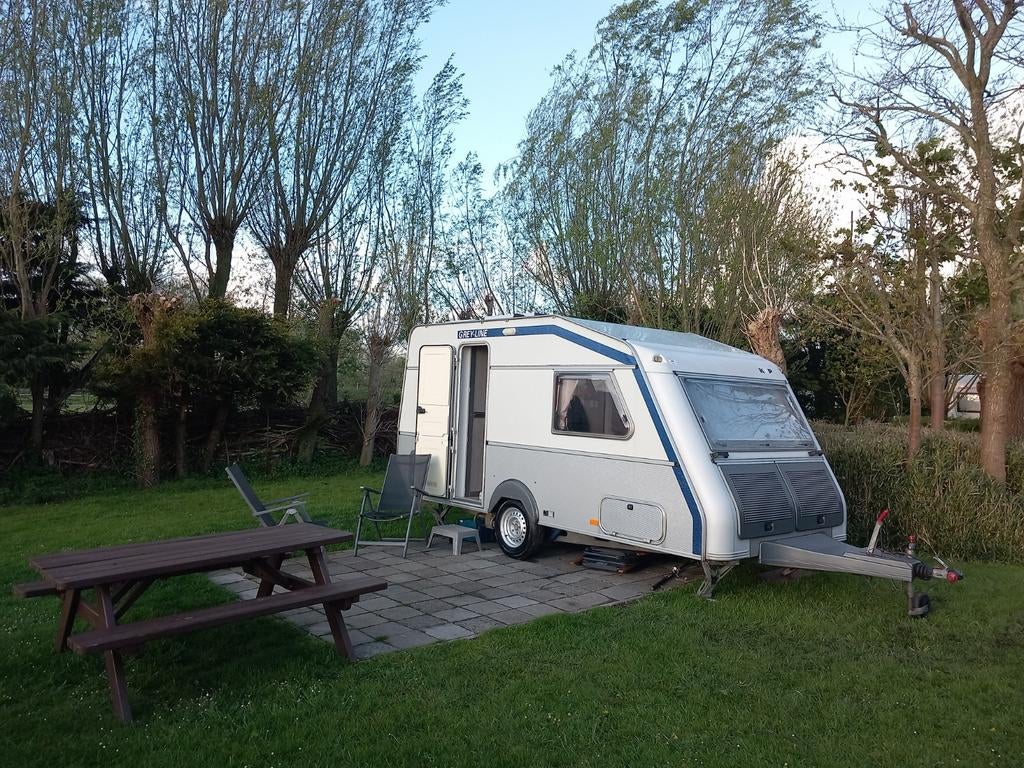 KIP GREYLINE  EKL 41.    Bieden, Ringverwarming, Rondzit, Kip, 750 - 1000 kg