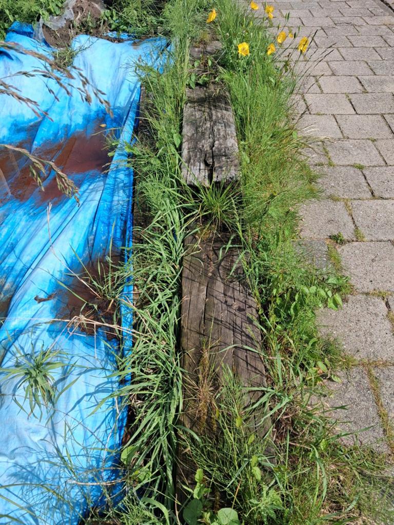 Biels, Ophalen, Gebruikt, Biels, Minder dan 100 cm