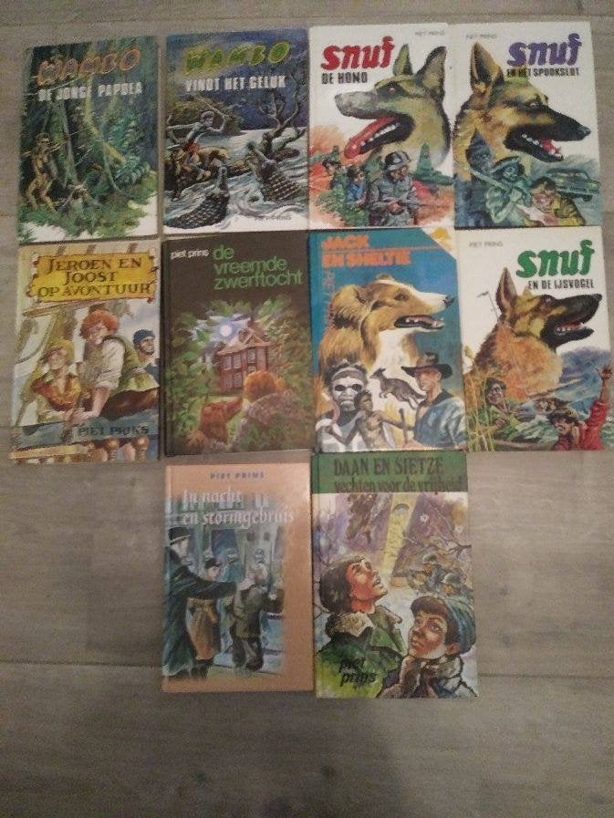 Diverse titels van Piet Prins., Ophalen of Verzenden, Zo goed als nieuw