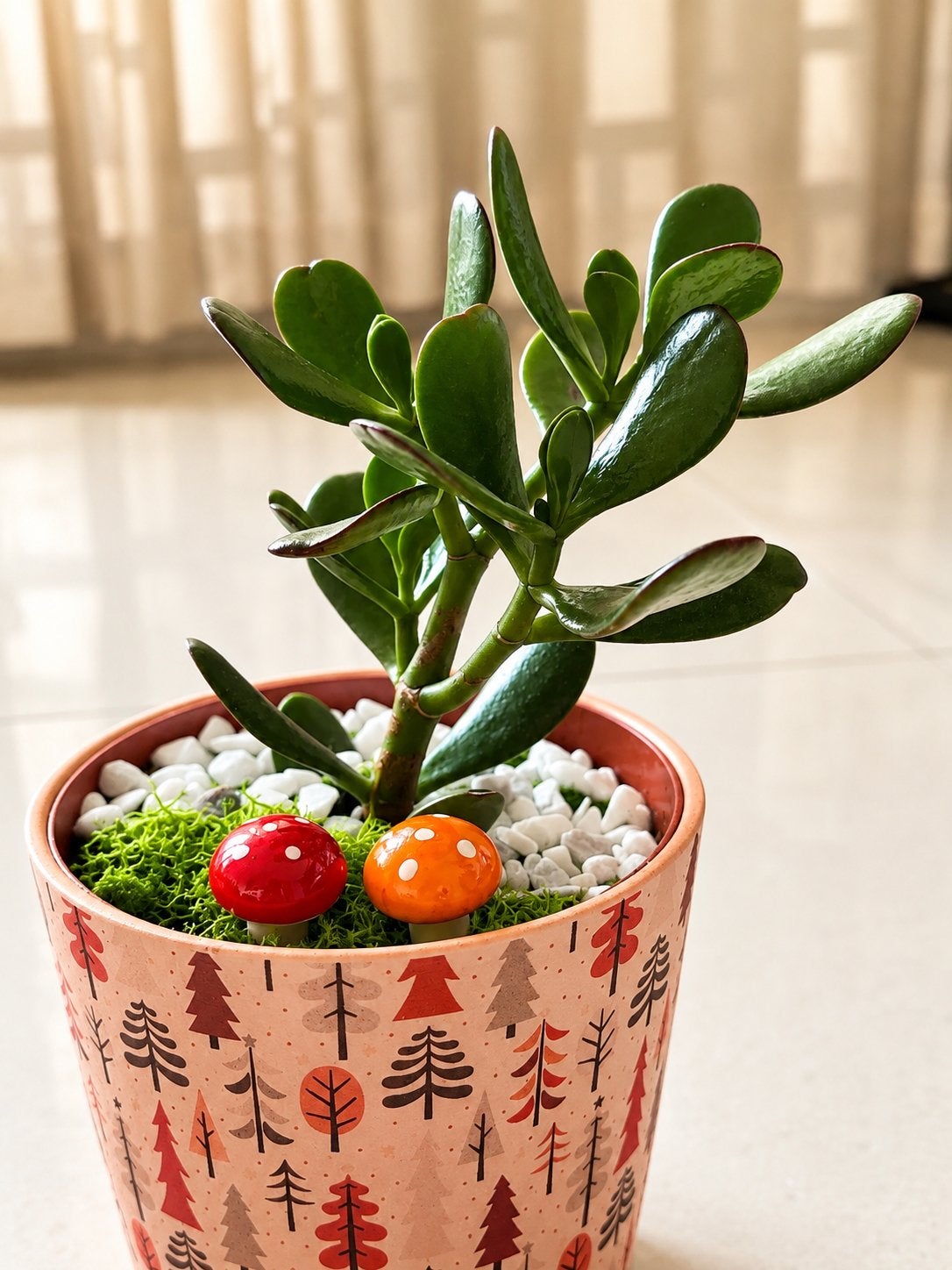 Mooie Vetplant in Pot met Decoratie, Ophalen, Vetplant, Halfschaduw, In pot