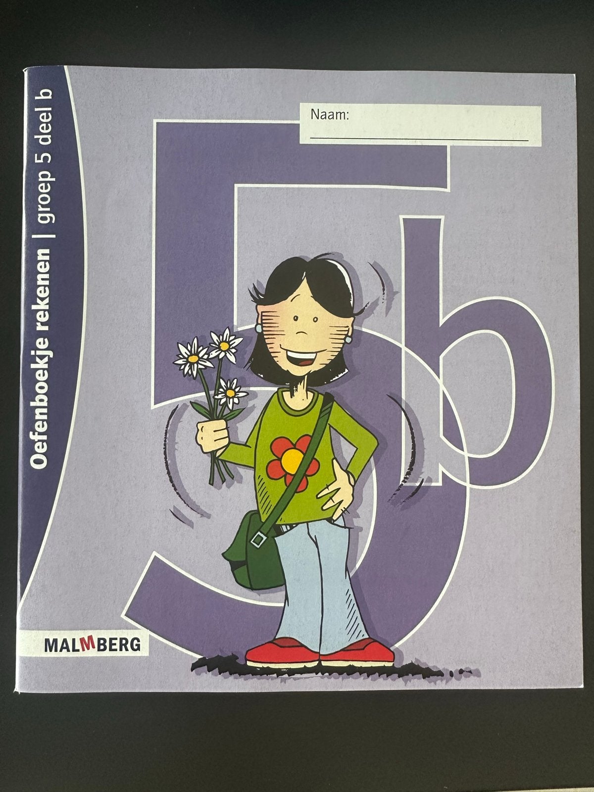 Oefenboekje rekenen groep 5 deel b, Boeken, Ophalen of Verzenden, Nieuw, Overige niveaus, Overige vakken