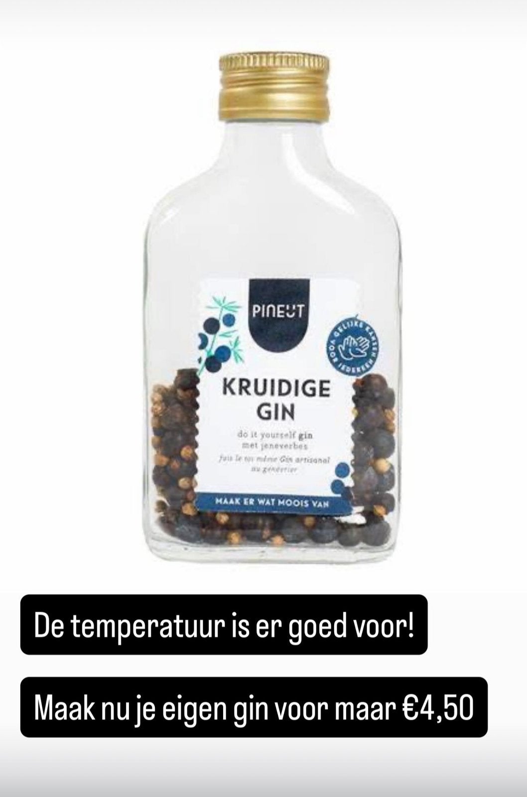 Diy Gin, Ophalen of Verzenden