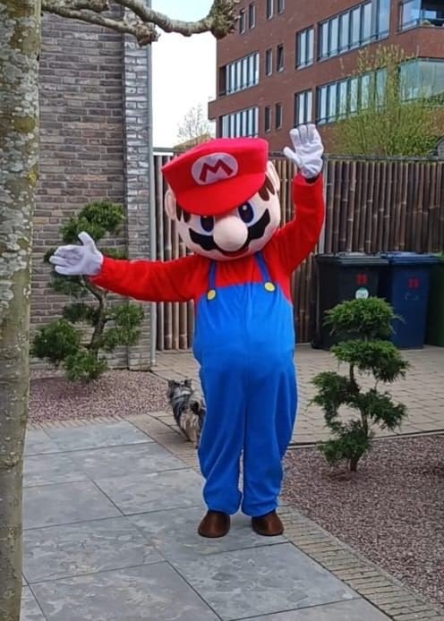 Fantastisch Mario Mascotte Pak - Huur of Koop!, Maat 42/44 (L), Ophalen of Verzenden, Kleding, Overige thema's
