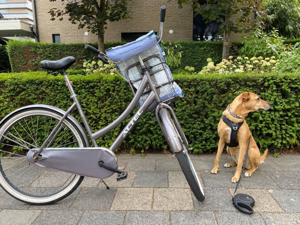 Altec Urban city/transport bicycle 170-190cm, Ophalen, Gebruikt, Overige merken