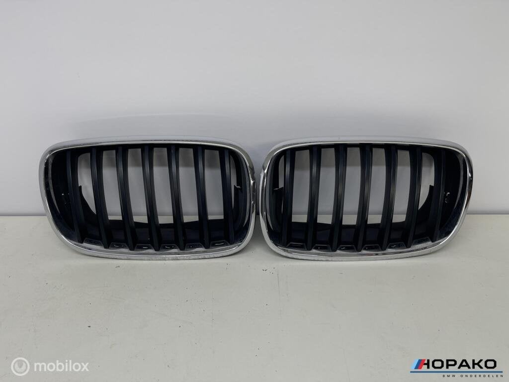 OEM Nieren BMW X5 / X5M F15 / F85 | zwart / chroom, Gebruikt, Einsteinlaan 5, Rijswijk, Ophalen of Verzenden, Info@bmw.com