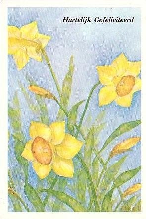 Ansichtkaart 	Bloemen	Narcissen, Verzamelen, Ansichtkaarten | Themakaarten, Verzenden, 1980 tot heden, Gelopen, Natuur