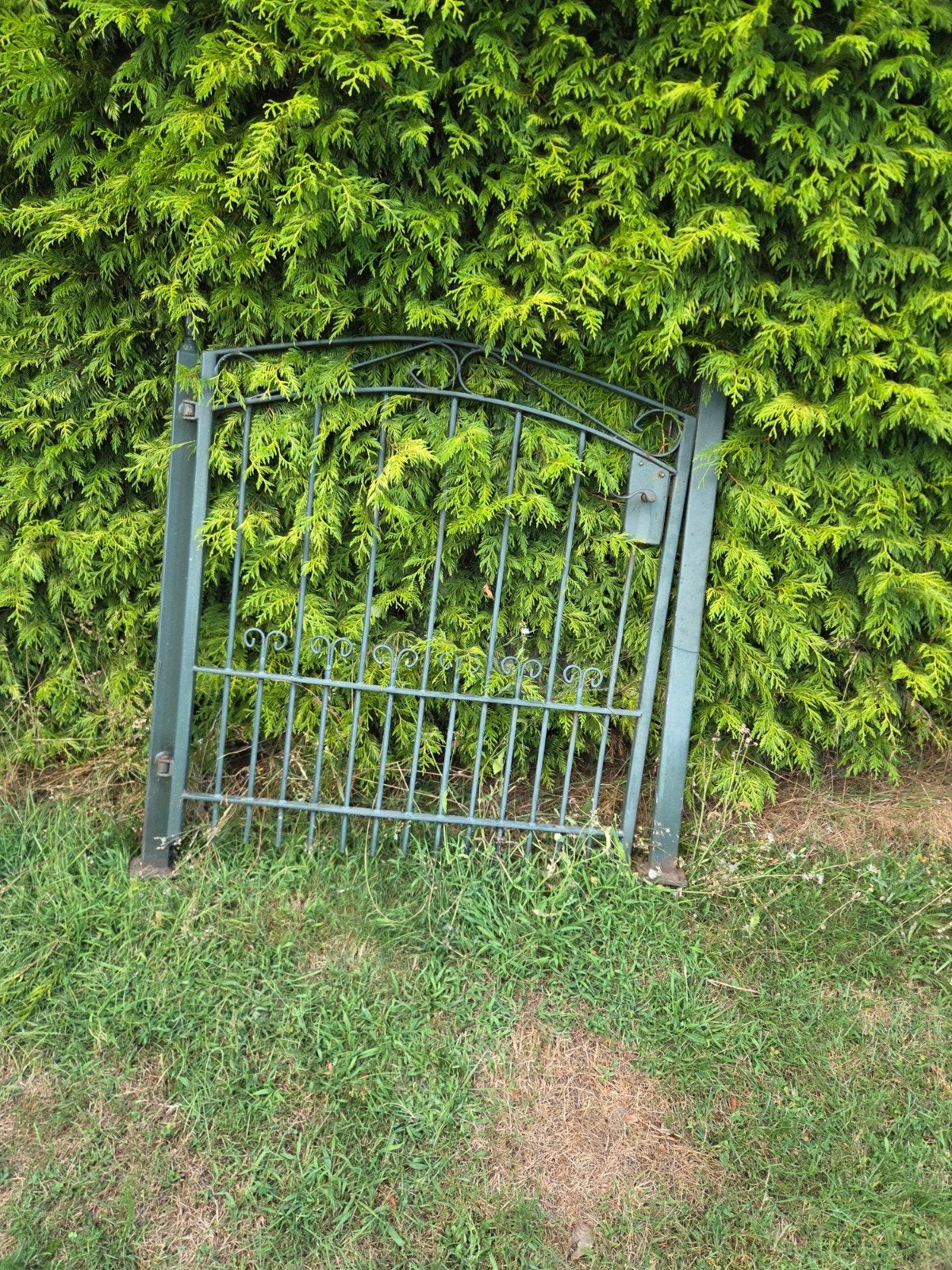thuin hek staal groen met deur slot, Ophalen, IJzer, Sierhekwerk