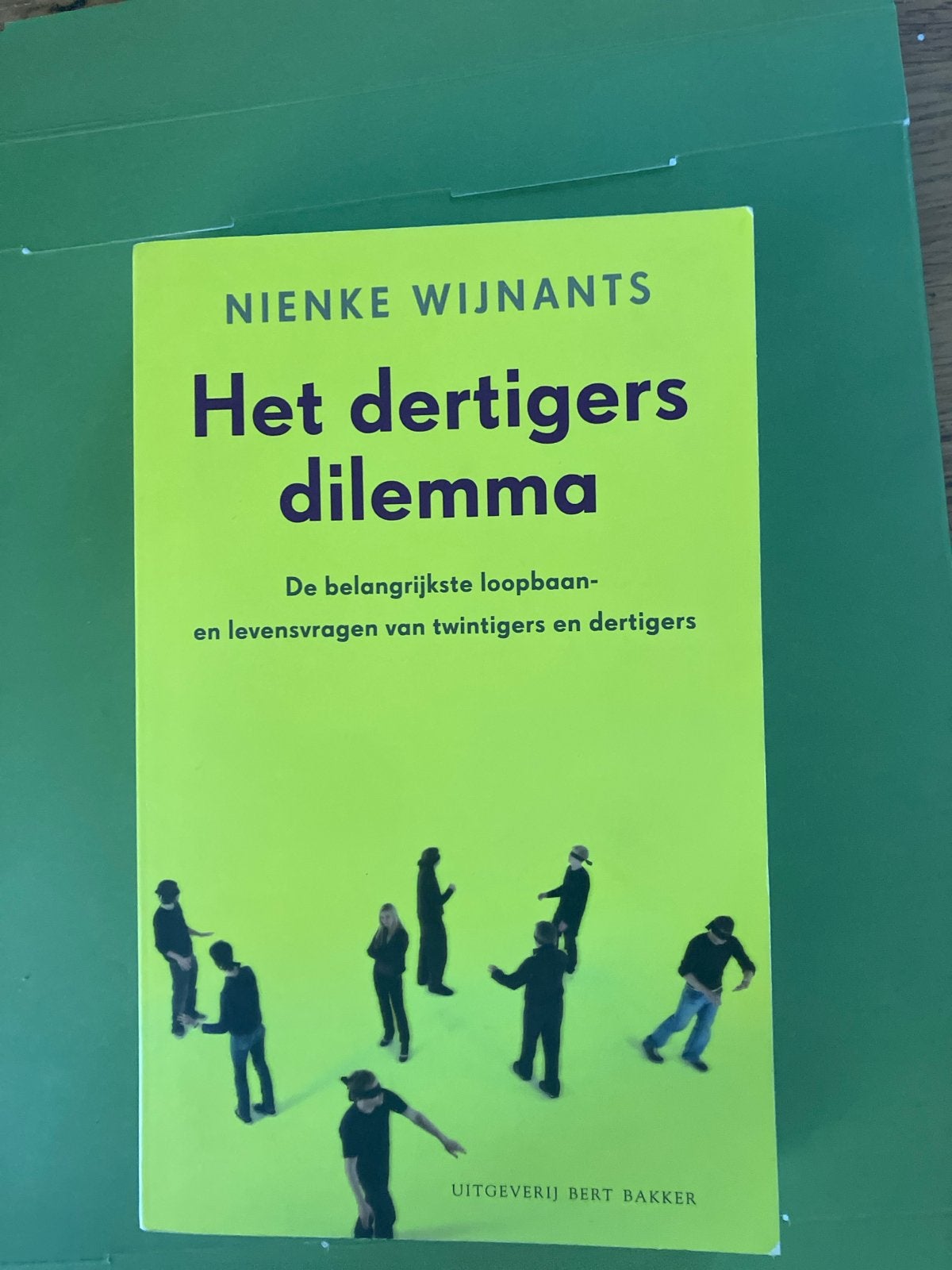 Het dertigers dilemma - Nienke Wijnants, Ophalen of Verzenden, Gelezen, Nederland