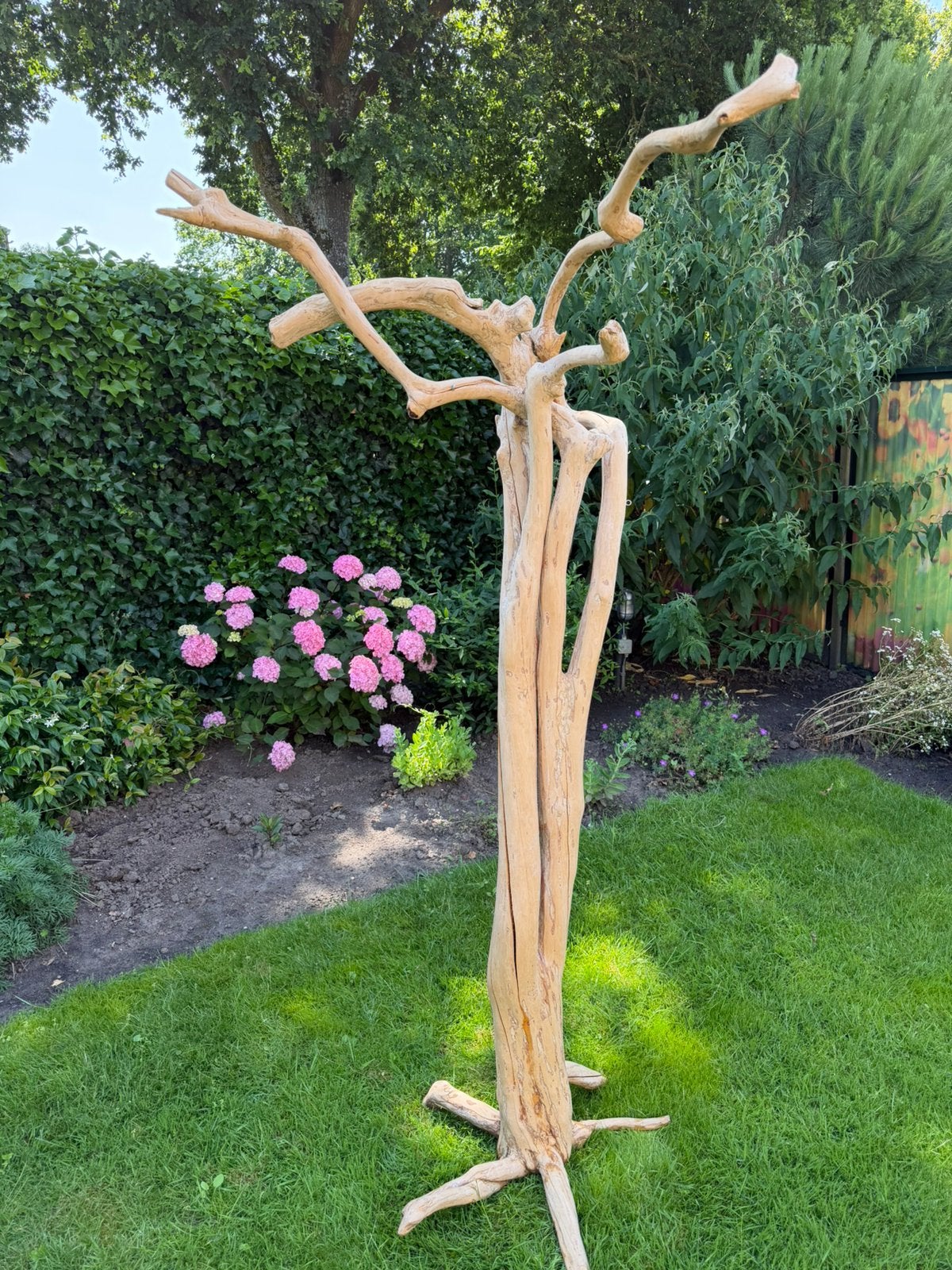 Javaboom / Java Tree – natuurlijke papegaaienboom (200 cm), Dieren en Toebehoren, Ophalen, Speelgoed