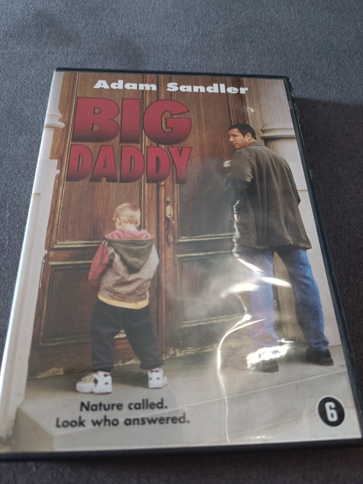 Big daddy - dvd, Alle leeftijden, Ophalen of Verzenden, Zo goed als nieuw, Romantische komedie