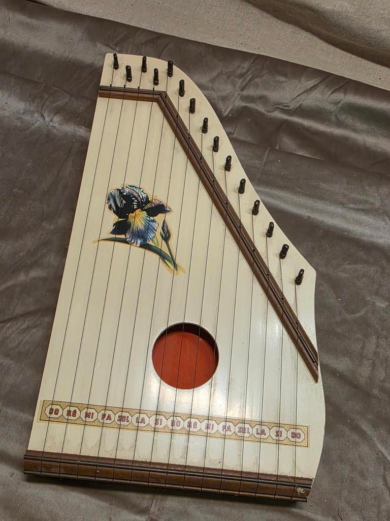 Vintage Autoharp / Citer met bloemmotief, Ophalen of Verzenden