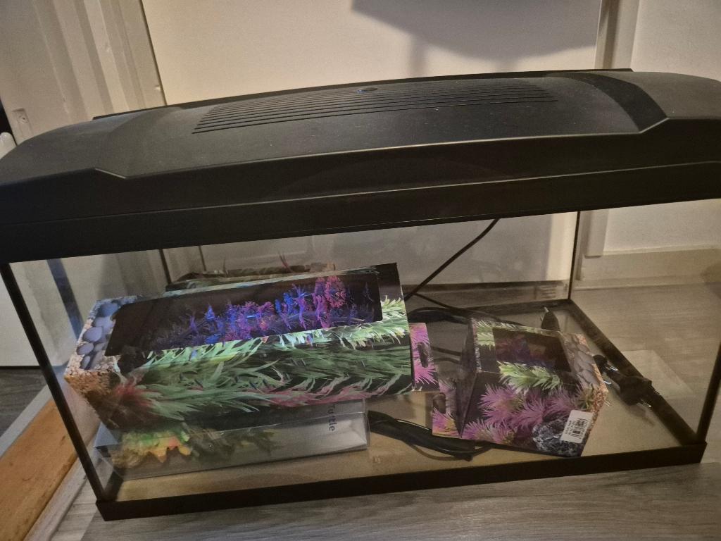 Complete aquarium met alle toebehoren, Ophalen, Verwarming, Zo goed als nieuw, Leeg aquarium