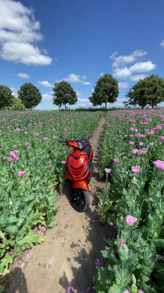 Piaggio zip zonder blok te ruil - brom, Ophalen, Zo goed als nieuw, Tweetakt, Zip