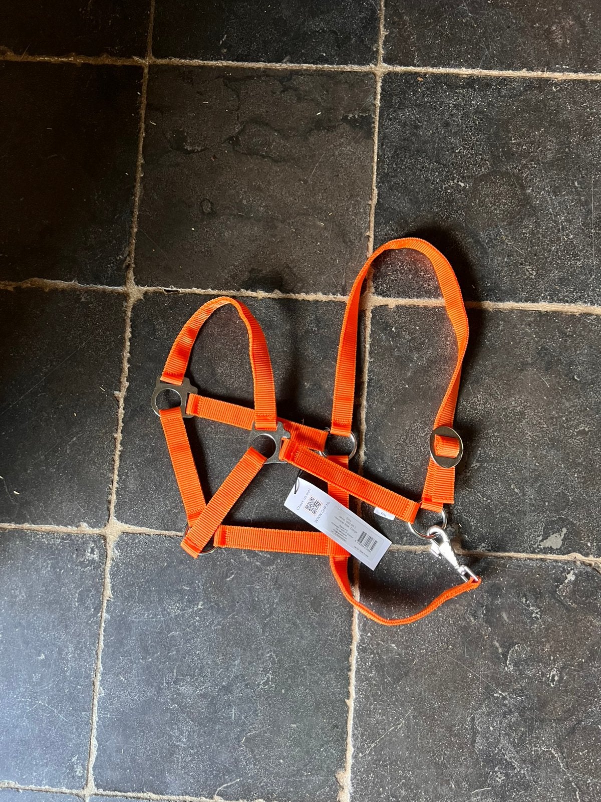 Halster full oranje QHP, Overige disciplines, Nieuw, Ophalen of Verzenden, Halster