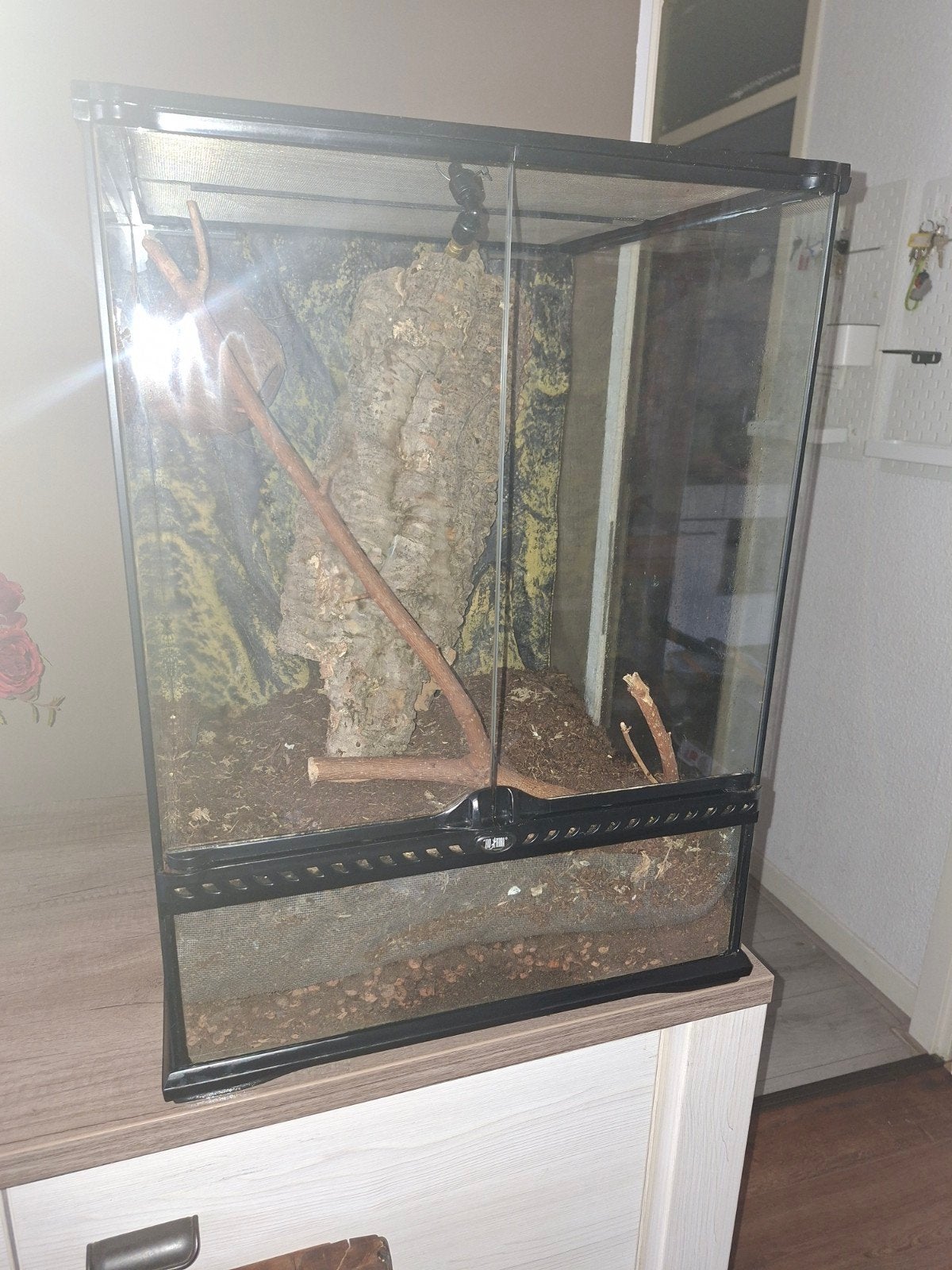 exo terra terrarium 62x45x45, Dieren en Toebehoren, Ophalen, Zo goed als nieuw