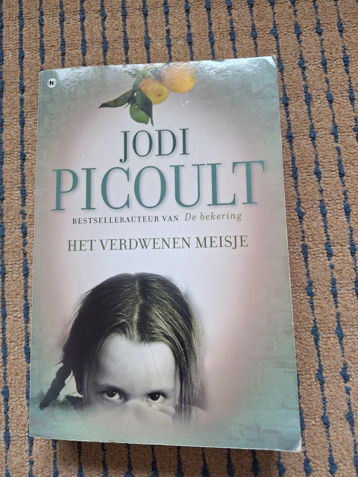 Het verdwenen meisje door Jodi Picoult, Boeken, Ophalen of Verzenden, Gelezen