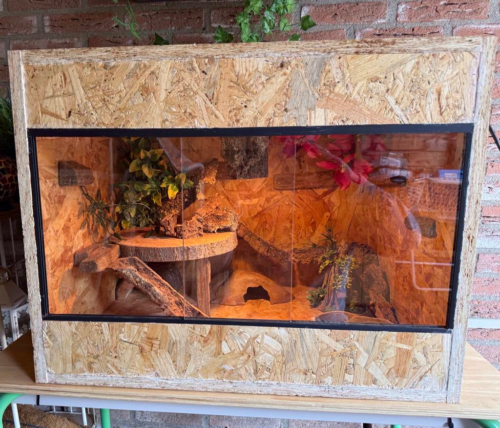 Terrarium van OSB plaat, Dieren en Toebehoren, Ophalen, Gebruikt, Terrarium of Paludarium