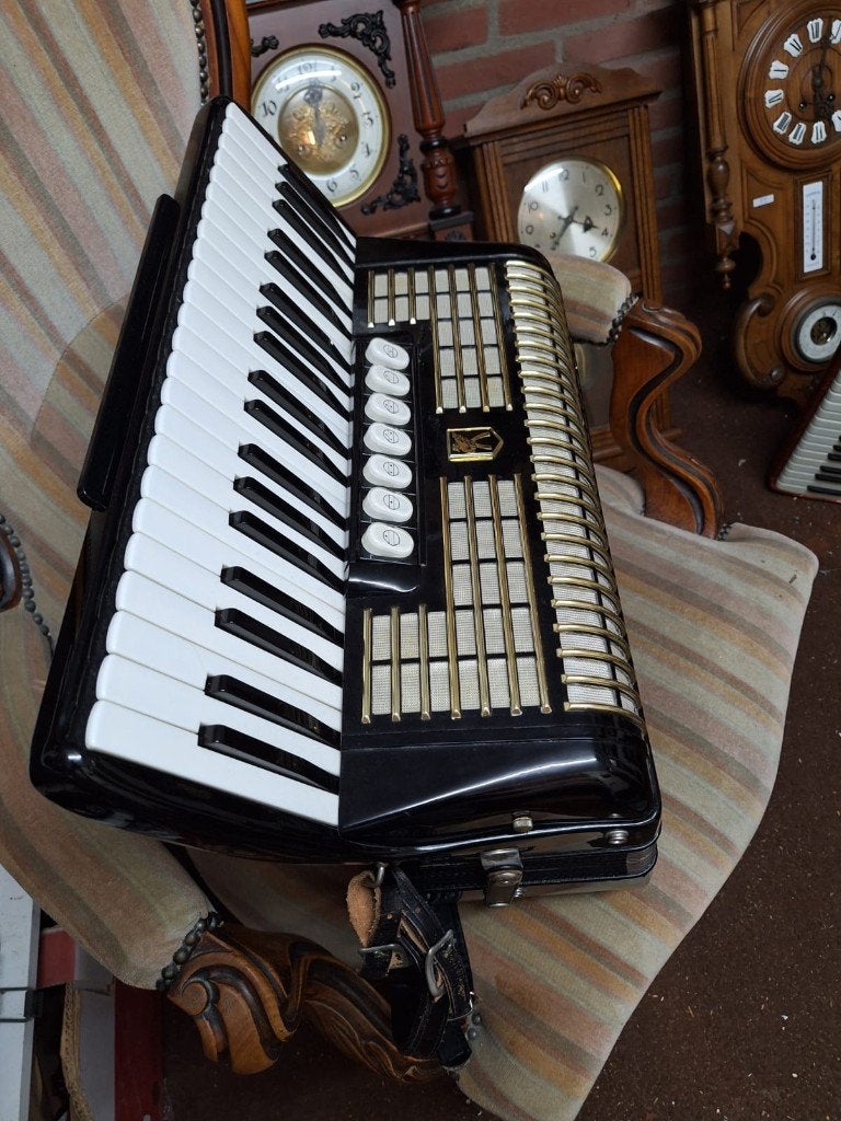 prachtige 120 bassen HOHNER accordeon, Muziek en Instrumenten, Accordeons, Ophalen, Met koffer, Toetsaccordeon, Zo goed als nieuw