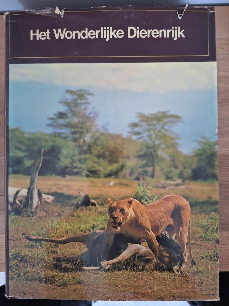 Het wonderlijke dierenrijk, Ophalen of Verzenden, Zo goed als nieuw