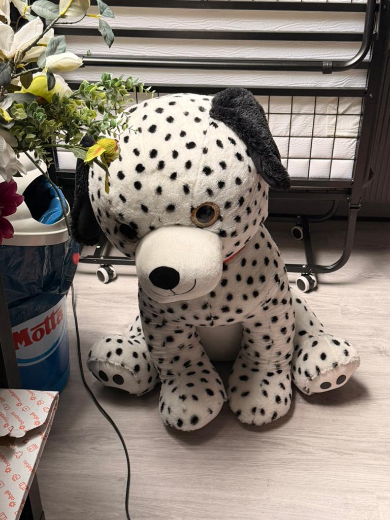 Knuffel 60 cm hond, Ophalen, Zo goed als nieuw, Hond