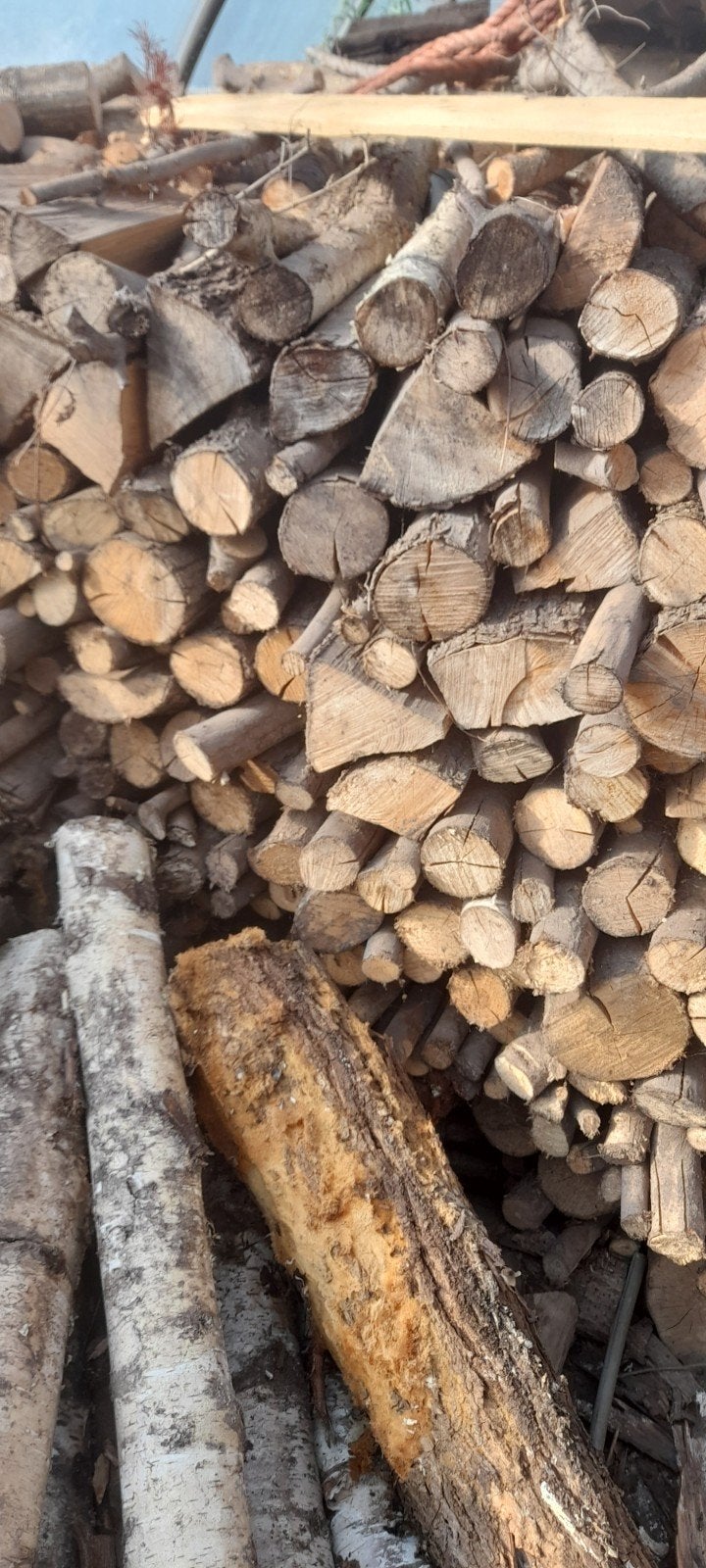 Brandhout: Mix van blokken en stammen, 6 m³ of meer, Ophalen of Verzenden, Berkenhout, Blokken