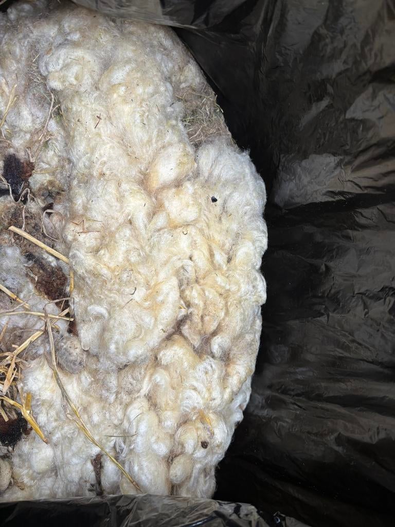 Wol van 3 schapen, Ophalen, Nieuw, Spinwol