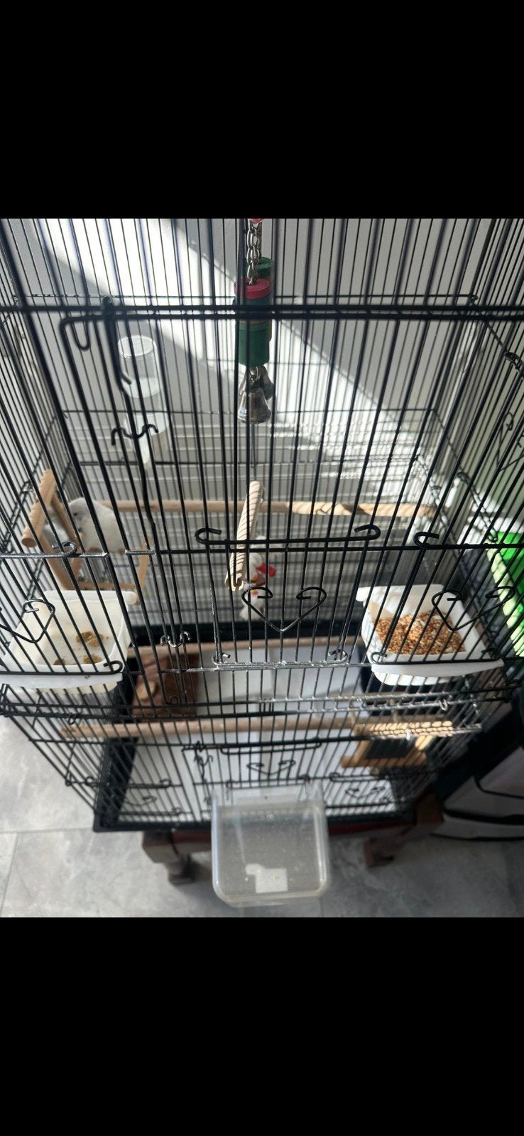 parkiet met kooi, Ophalen of Verzenden, Zo goed als nieuw, Metaal, Vogelkooi