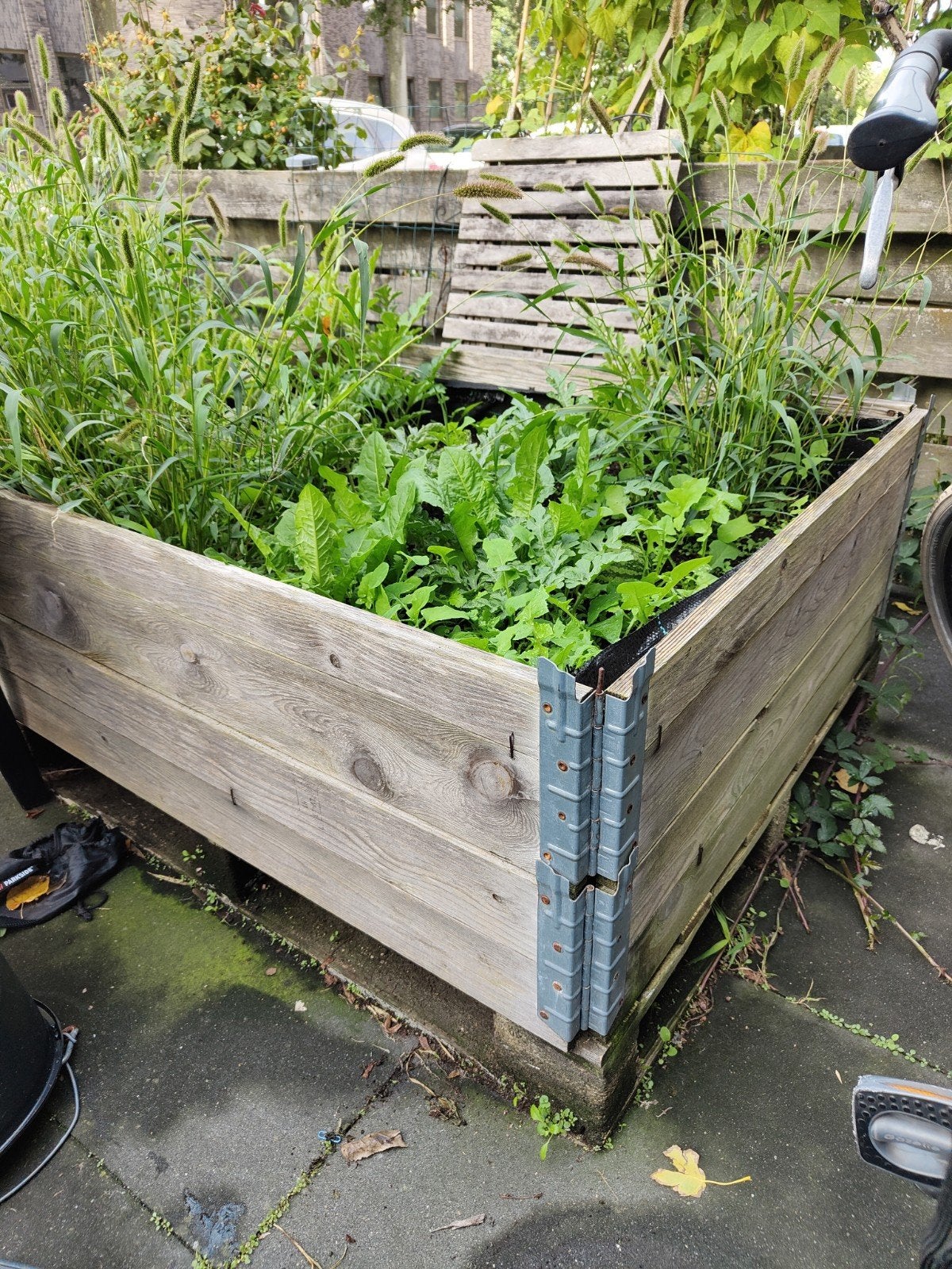 moestuin bakken., Ophalen, Rechthoekig, Hout, Binnen