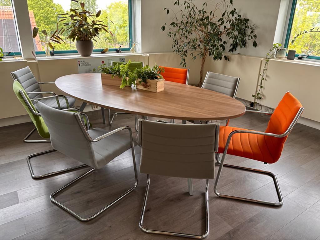 Grote ovale tafel / vergadertafel met 8 stoelen, Huis en Inrichting, Tafels | Eettafels, Ophalen, Gebruikt, 100 tot 150 cm, 200 cm of meer