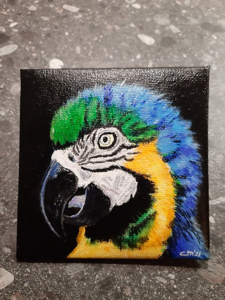 Mini schilderijtje Papegaai / Ara ( 10 x 10 cm. ), Ophalen, Minder dan 50 cm, Oorspronkelijke maker, Nieuw