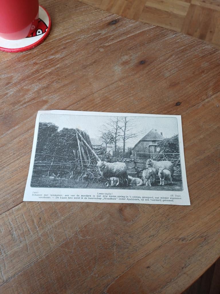 Knipsel buurtschap Woudhuis onder Apeldoorn 1923, Ophalen of Verzenden, 1920 tot 1940, Knipsel(s)