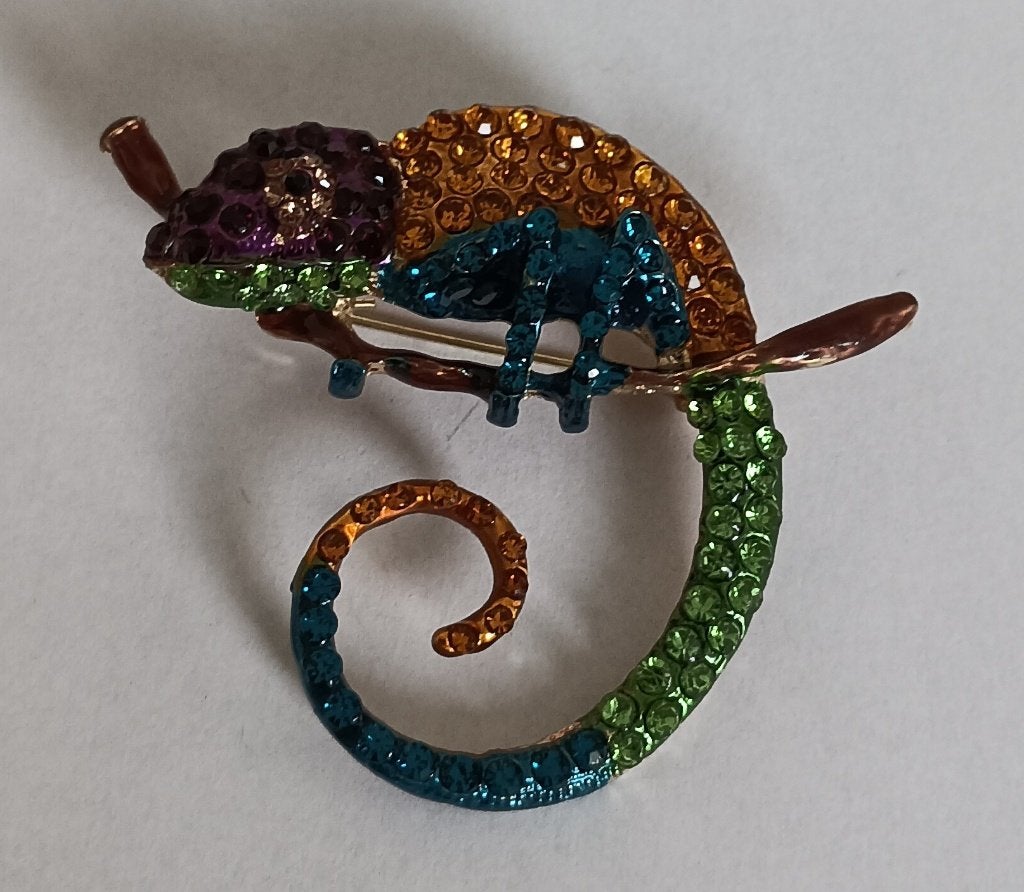 Kameleon broche, Sieraden, Tassen en Uiterlijk, Overige materialen, 4 tot 7 cm, Overige kleuren, Nieuw