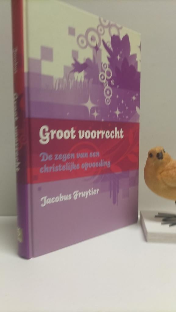 Fruytier, Ds. J.; Groot voorrecht, Boeken, Ophalen of Verzenden, Gelezen, Christendom | Protestants