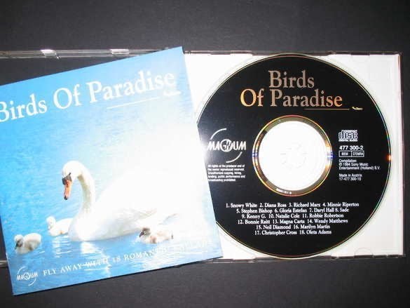 Birds of Paradise, Ophalen of Verzenden, Gebruikt, Pop