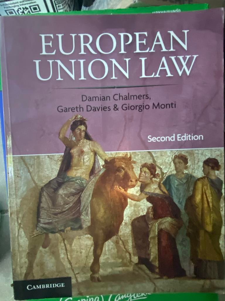 European Union Law - En Nederlandse Strafrecht, Boeken, Studieboeken en Cursussen, Ophalen of Verzenden, Gamma, Zo goed als nieuw