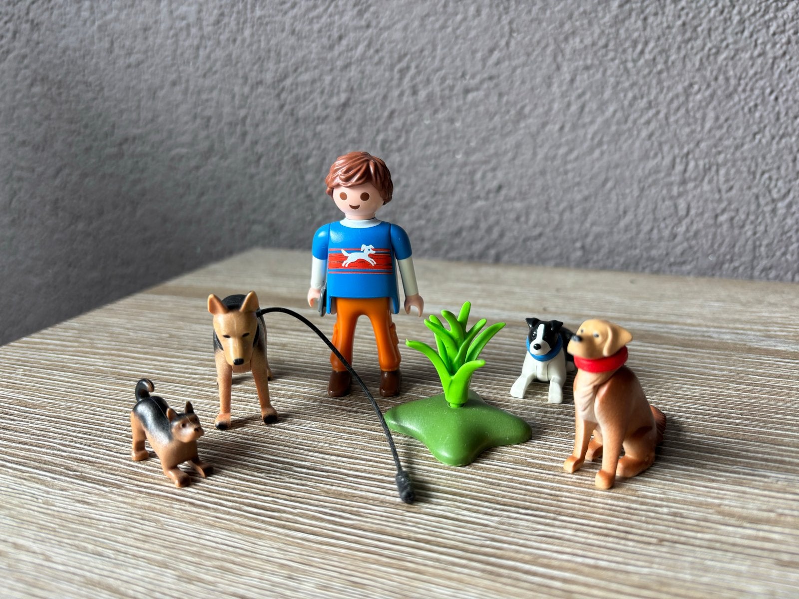 Playmobil jongen met honden en accessoires, Kinderen en Baby's, Ophalen of Verzenden, Zo goed als nieuw