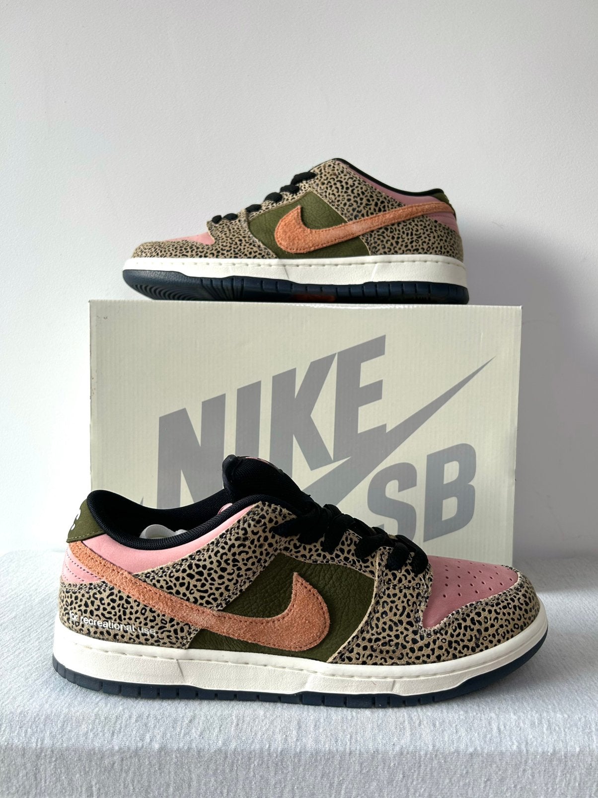 Nike SB Dunk Low Arts-Rec (EU 44), Nike SB, Overige kleuren, Nieuw, Ophalen of Verzenden
