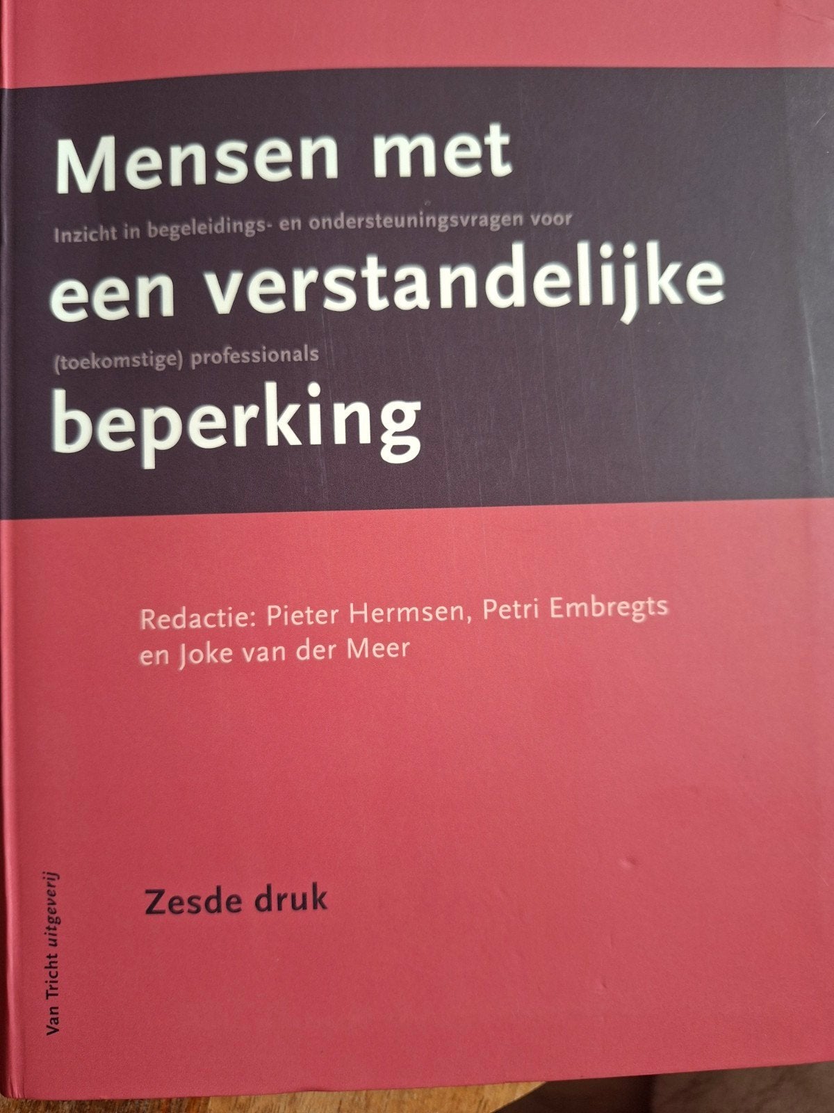 Pieter Hermsen - Mensen met een verstandelijke beperking, Boeken, Sociale wetenschap, Nieuw, Ophalen of Verzenden, Pieter Hermsen; Noud Frielink; Annette van der Putten; Jac de...