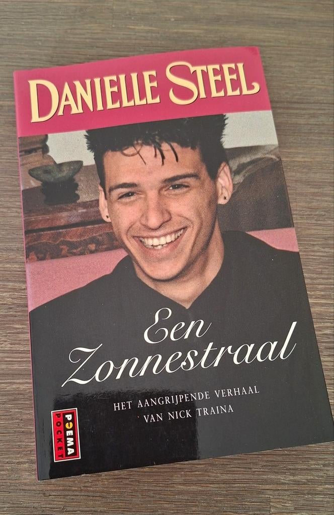 Danielle Steel  "Een Zonnestraal", Boeken, Ophalen of Verzenden, Zo goed als nieuw