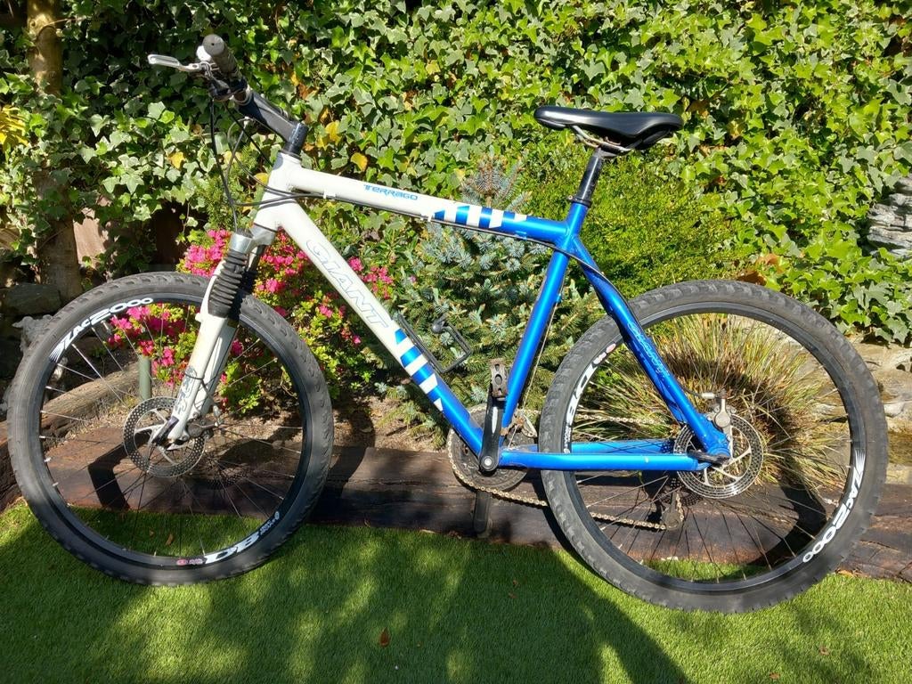 Giant Terrago Mountainbike - Blauw/Wit, Fietsen en Brommers, Fietsen | Mountainbikes en ATB, 45 tot 49 cm, Ophalen, Giant