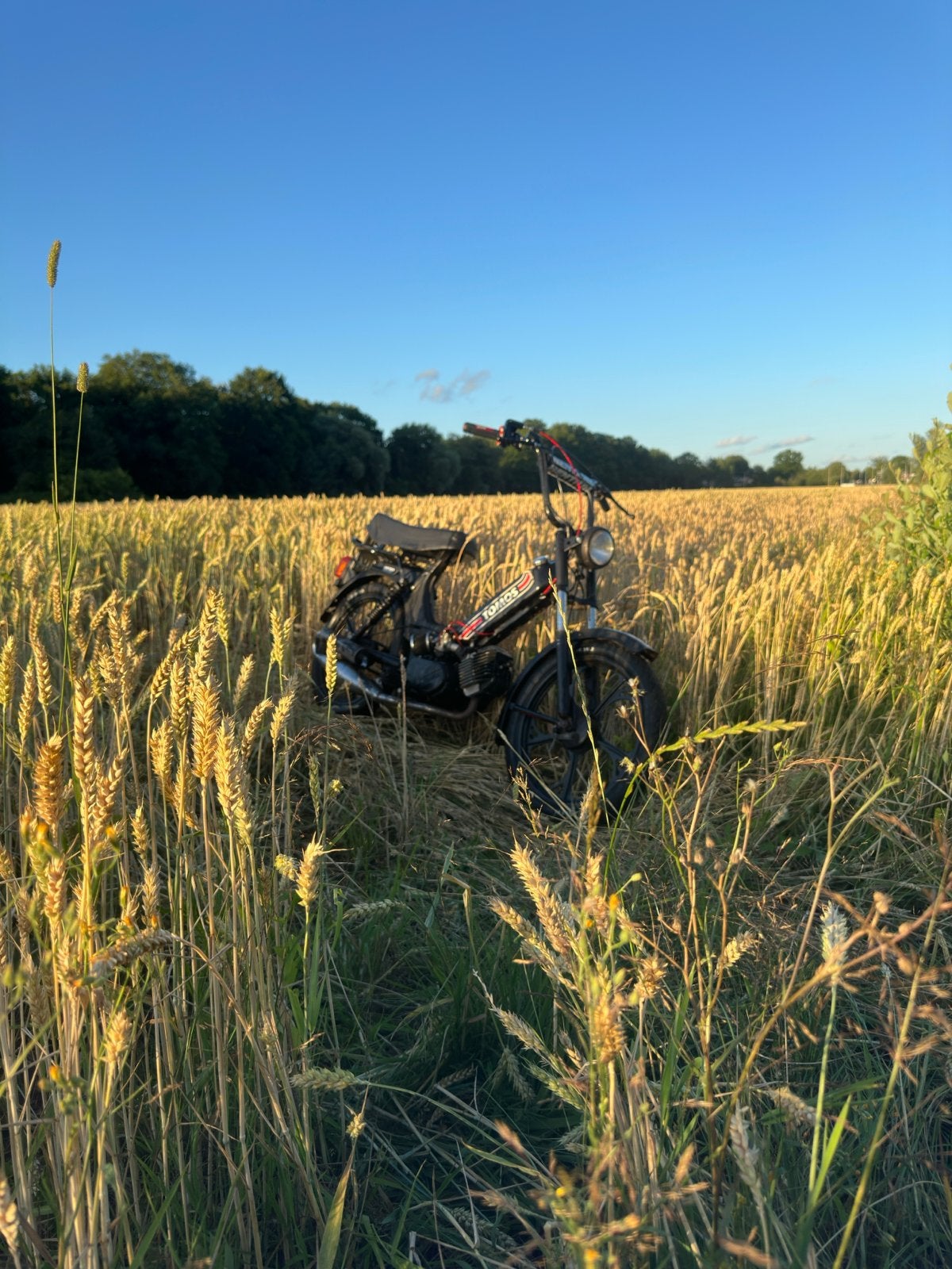Tomos, Ophalen, Gebruikt, Maximaal 45 km/u