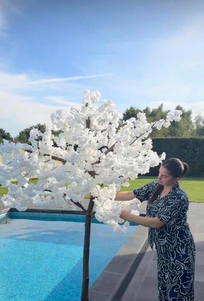 Bloesemboom, Huis en Inrichting, Woonaccessoires | Kunstplanten en Kunstbloemen, Ophalen, Nieuw