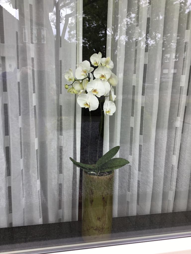 Keramiek bloempotten, Tuin en Terras, Ophalen, Rond, Zo goed als nieuw, Aardewerk