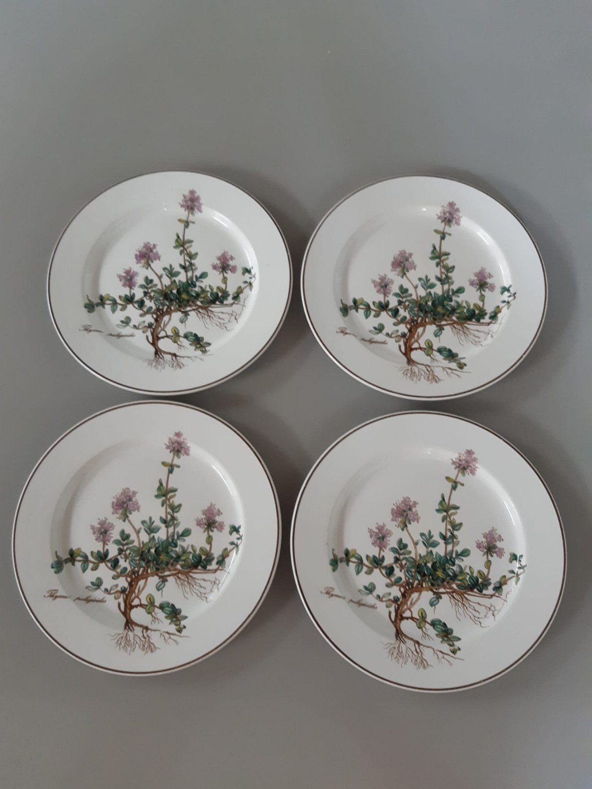 Ontbijtborden Villeroy en Boch Botanica, 5 beschikbaar, Ophalen of Verzenden, Zo goed als nieuw, Bord(en), Overige stijlen